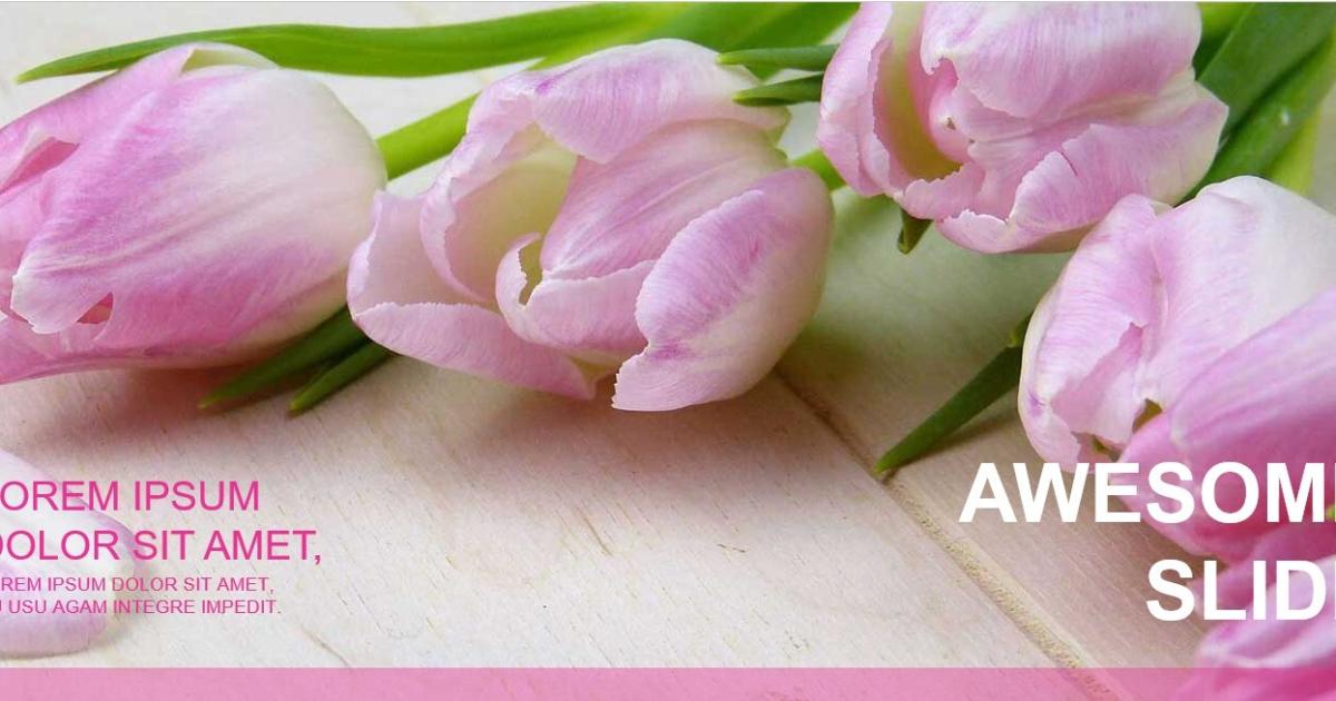 template Powerpoint màu hồng 4