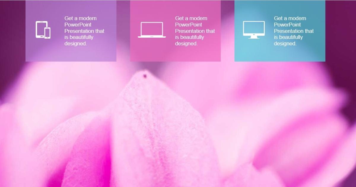 Màu hồng đại diện cho điều gì?