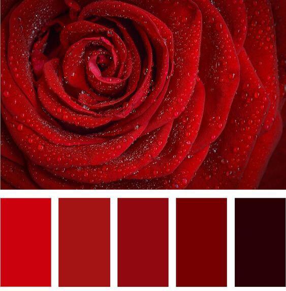 Nên kết hợp template Powerpoint màu đỏ với màu sắc nào 3