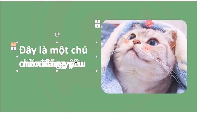 Hướng dẫn trình chiếu hình ảnh đơn giản chuyên nghiệp Powerpoint