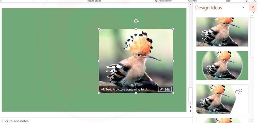 Hướng dẫn trình chiếu hình ảnh đơn giản chuyên nghiệp Powerpoint