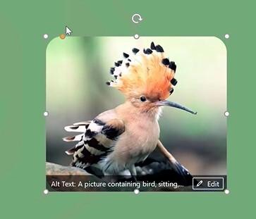 Hướng dẫn trình chiếu hình ảnh đơn giản chuyên nghiệp Powerpoint