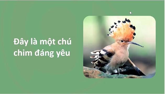 Hướng dẫn trình chiếu hình ảnh đơn giản chuyên nghiệp Powerpoint