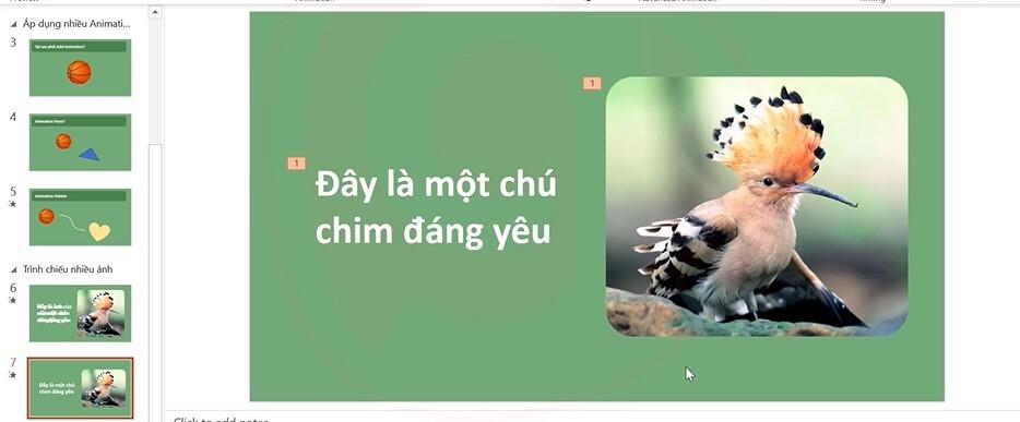 Hướng dẫn trình chiếu hình ảnh đơn giản chuyên nghiệp Powerpoint