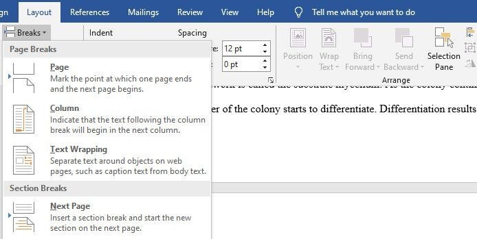 Hướng dẫn đánh số và tùy chỉnh số trang trong Microsoft Word