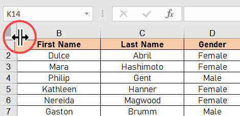 Hide and show columns in Excel