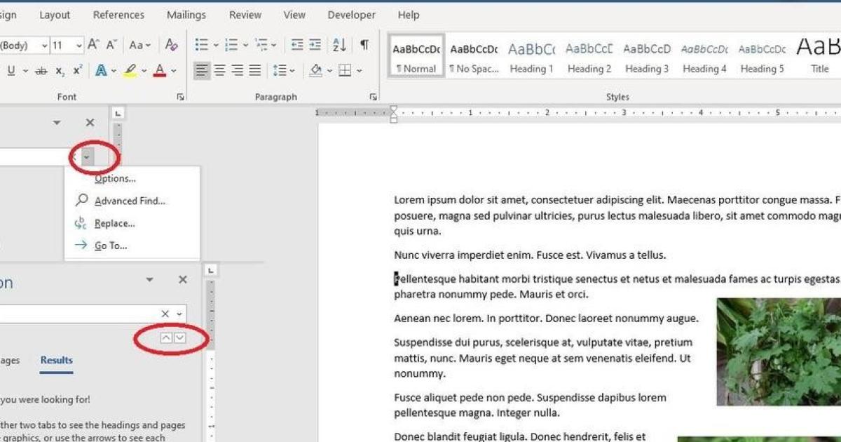 duyệt qua tất cả các tệp đồ họa trong word