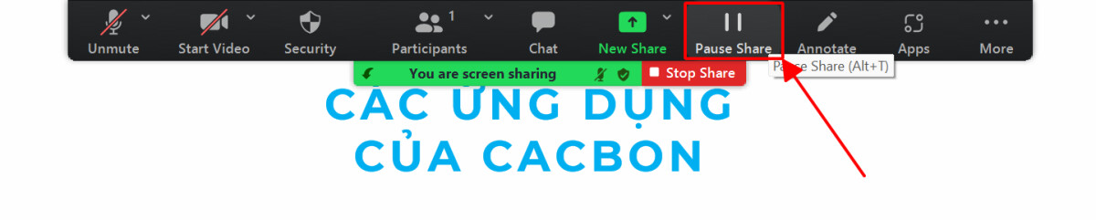 Hướng dẫn cách trình chiếu PowerPoint trên Zoom chắc chắn bạn cần biết 10