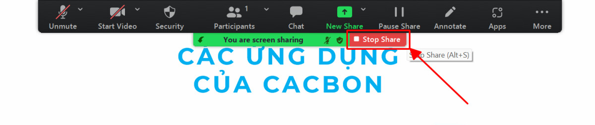 Hướng dẫn cách trình chiếu PowerPoint trên Zoom chắc chắn bạn cần biết 11