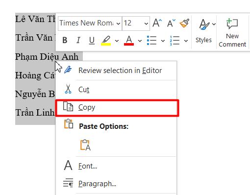 Copy dữ liệu trong Word