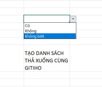 Tạo danh sách thả xuống trong Excel 