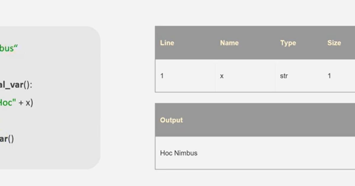 Sự khác nhau của 2 loại biến trong Python Global và Local Variables