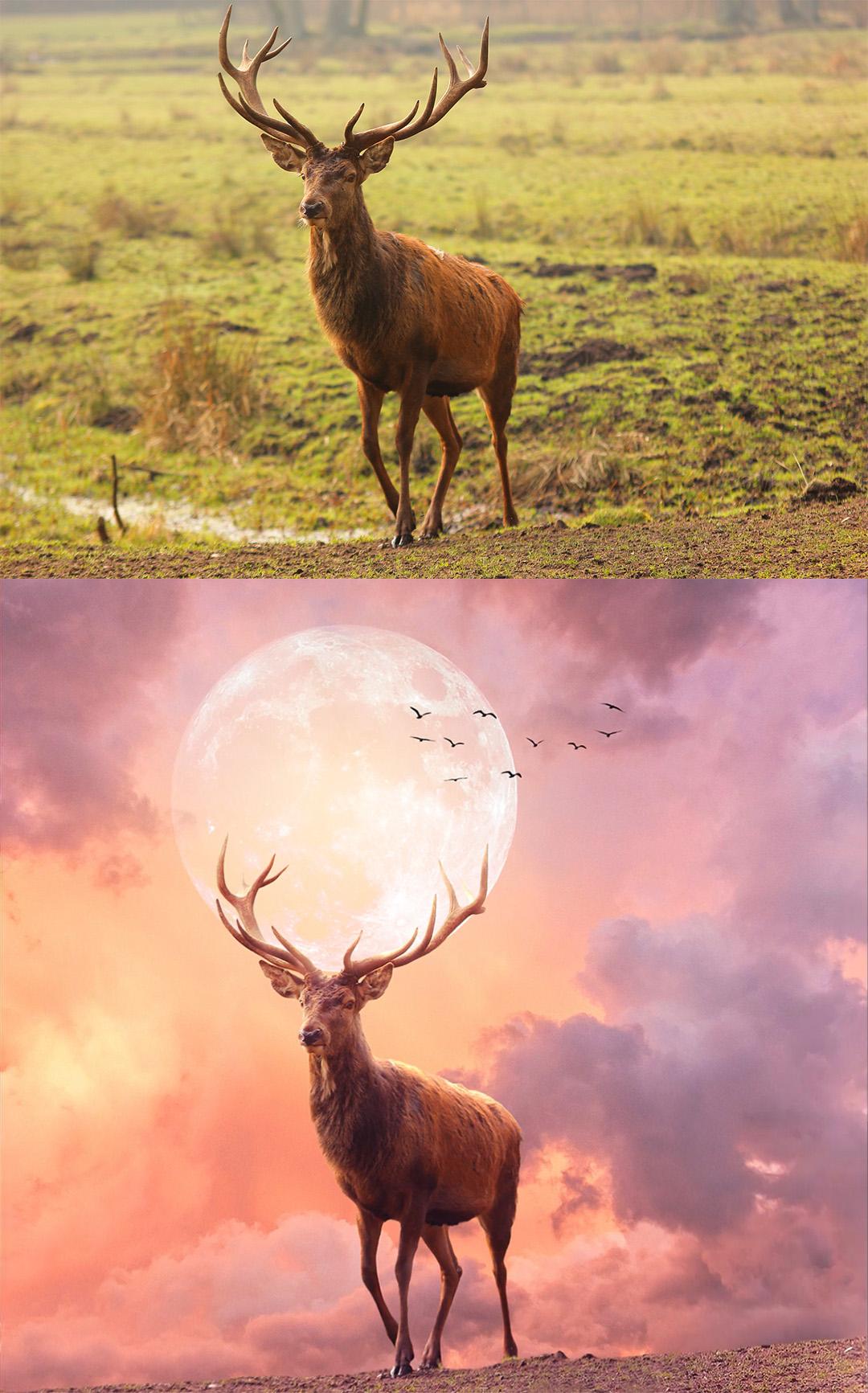 Top 5 phần mềm chỉnh sửa ảnh đẹp miễn bàn hoàn toàn miễn phí 3