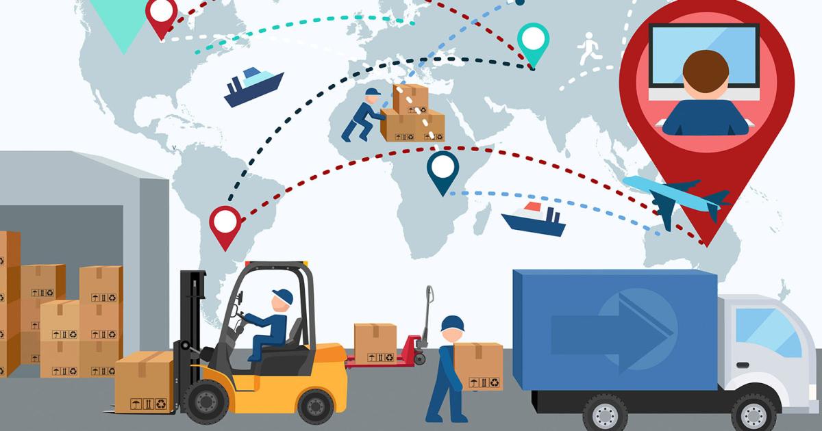 Sales Logistics là gì? Phân biệt Sale hãng tàu và Sale Forwarder