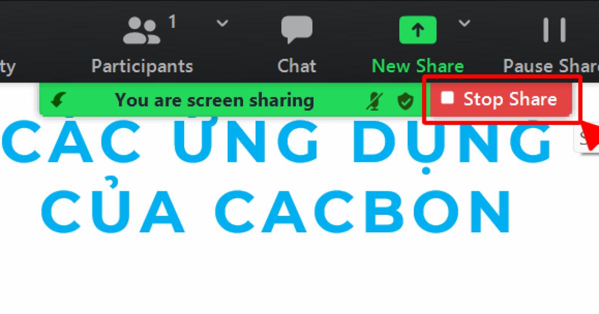 Hướng dẫn cách trình chiếu PowerPoint trên Zoom chắc chắn bạn cần biết 11