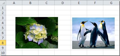 Hướng dẫn chỉnh kích thước ảnh để vừa ô trong Excel