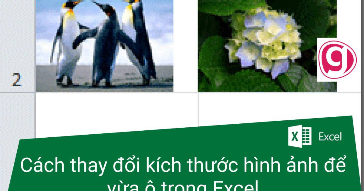 Hướng dẫn chỉnh kích thước ảnh để vừa ô trong Excel
