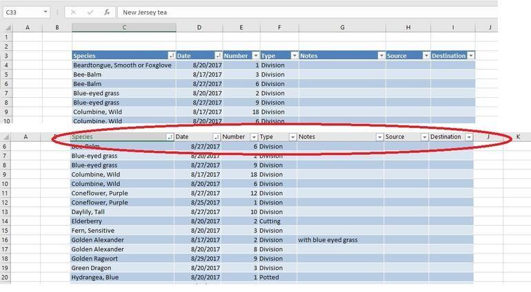 làm việc với đối tượng đối tượng Table