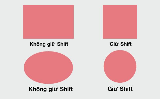 Rectangle Tool trong Illustrator 1