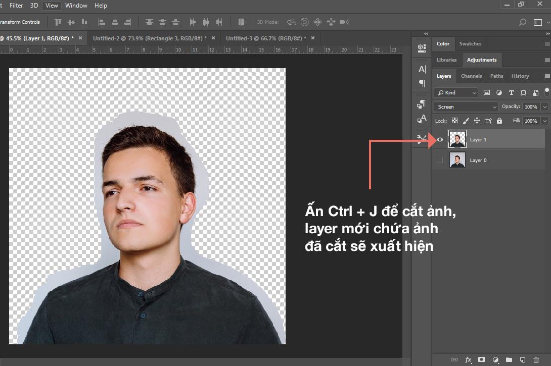 cắt ảnh Lasso Tool Photoshop 4
