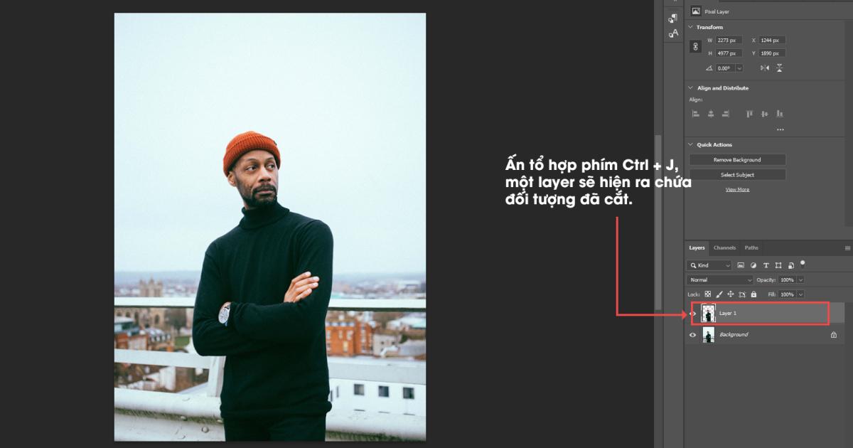 Công cụ Object Selection Tool 5