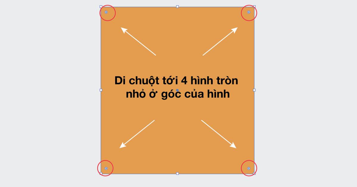 Rectangle Tool trong Illustrator 7