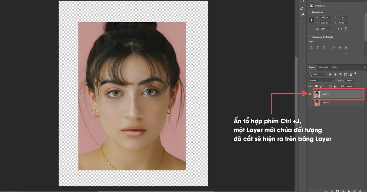 Công cụ Marquee Tool 4