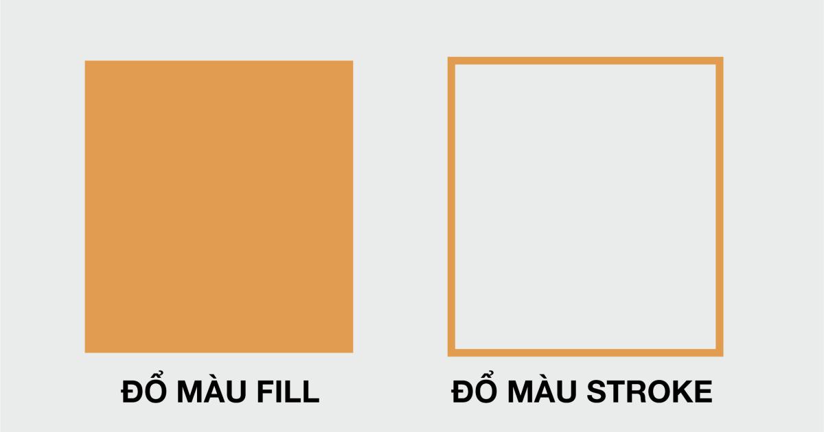 Rectangle Tool trong Illustrator 11