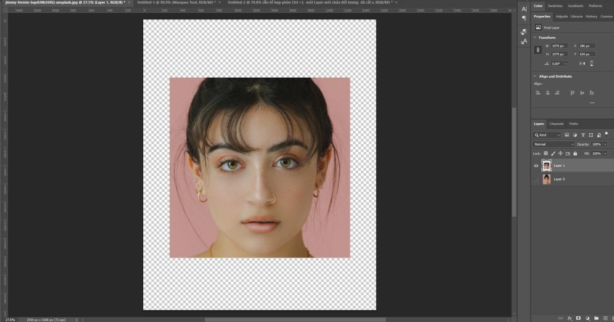 Công cụ Marquee Tool 5