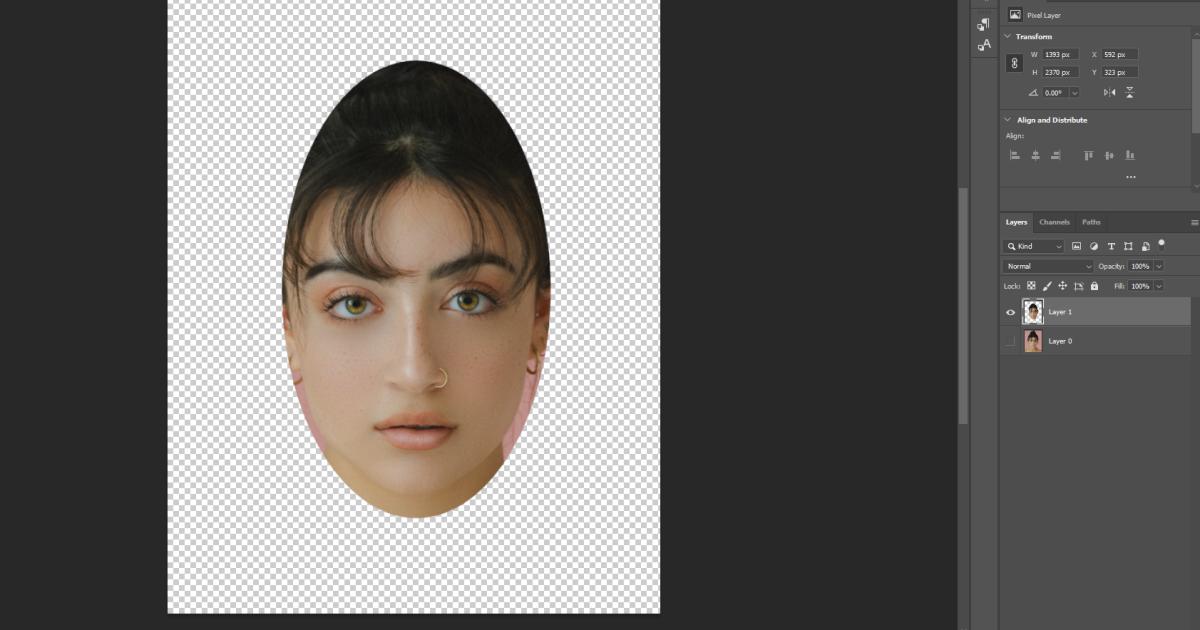 Công cụ Marquee Tool 7