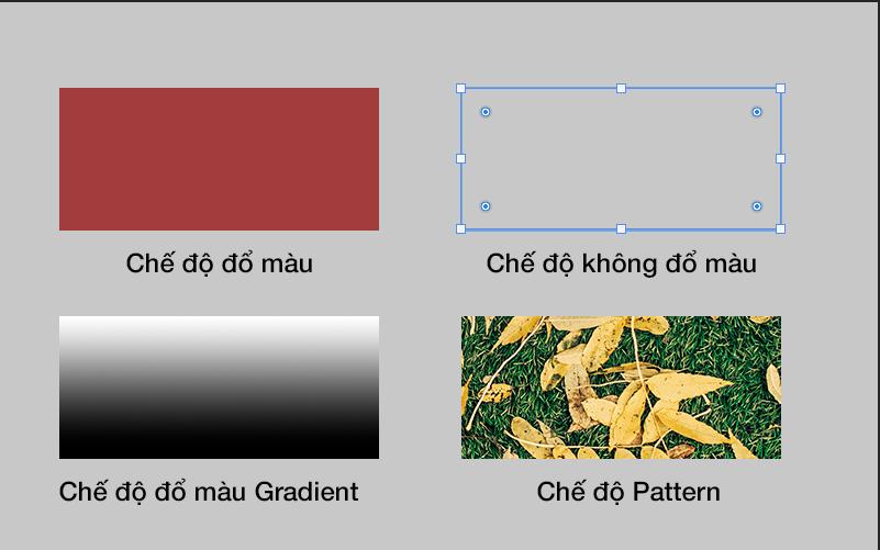Công cụ Retangle Tool 4