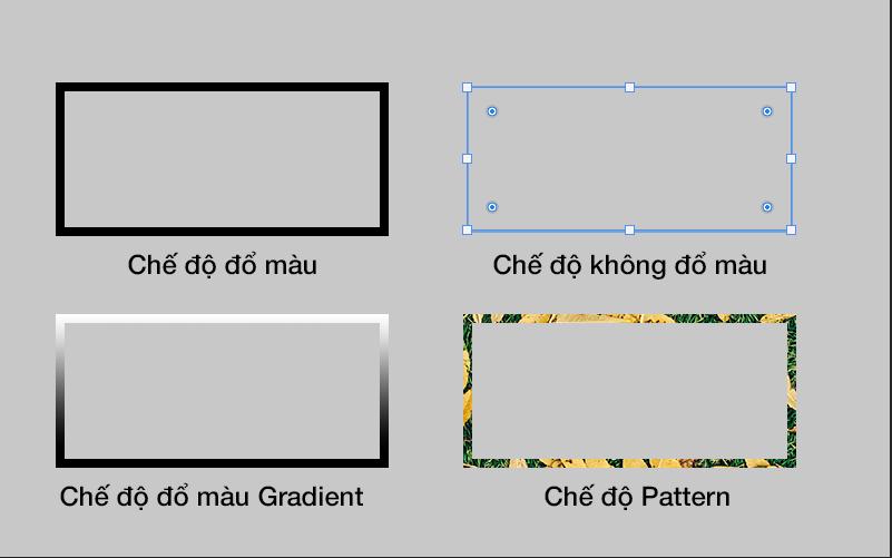 Công cụ Retangle Tool 5