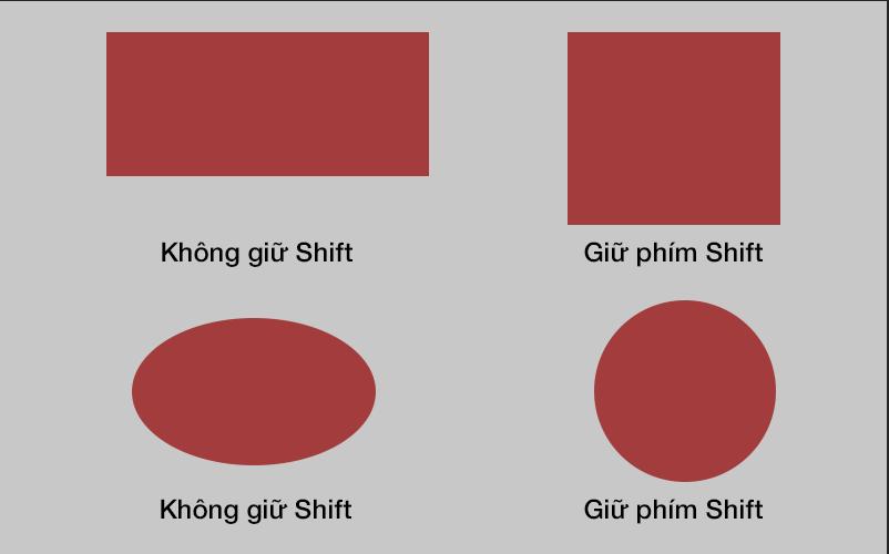 Công cụ Retangle Tool 8