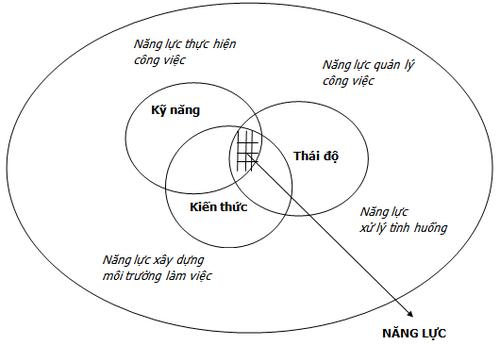tu-dien-nang-luc