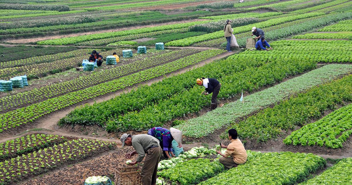 thu nhập miễn thuế thu nhập doanh nghiệp 1