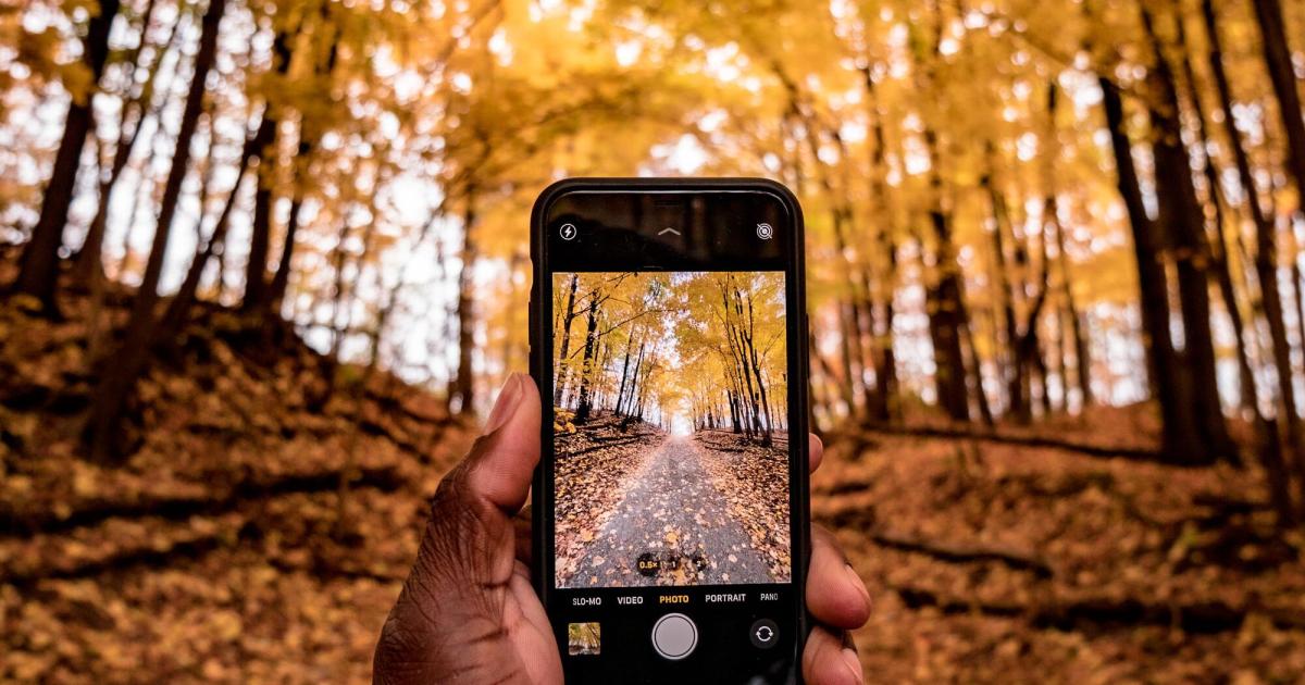 cách chụp ảnh đẹp bằng điện thoại p2 1