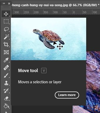 Cắt ảnh trong Photoshop: Công cụ Move Tool