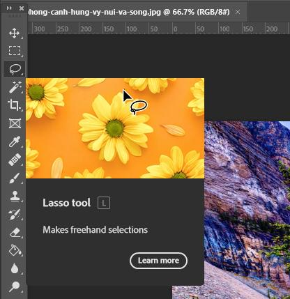 Cắt ảnh trong Photoshop: Lasso Tool
