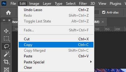 Cắt ảnh trong Photoshop: Copy phần hình ảnh này trong vùng chọn