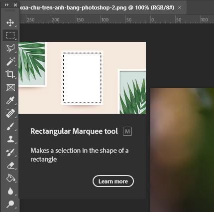 Cách xóa chữ trên ảnh bằng Photoshop: Công cụ tạo vùng chọn