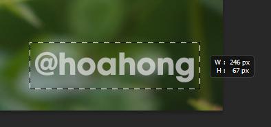 Cách xóa chữ trên ảnh bằng Photoshop: Tạo vùng chọn