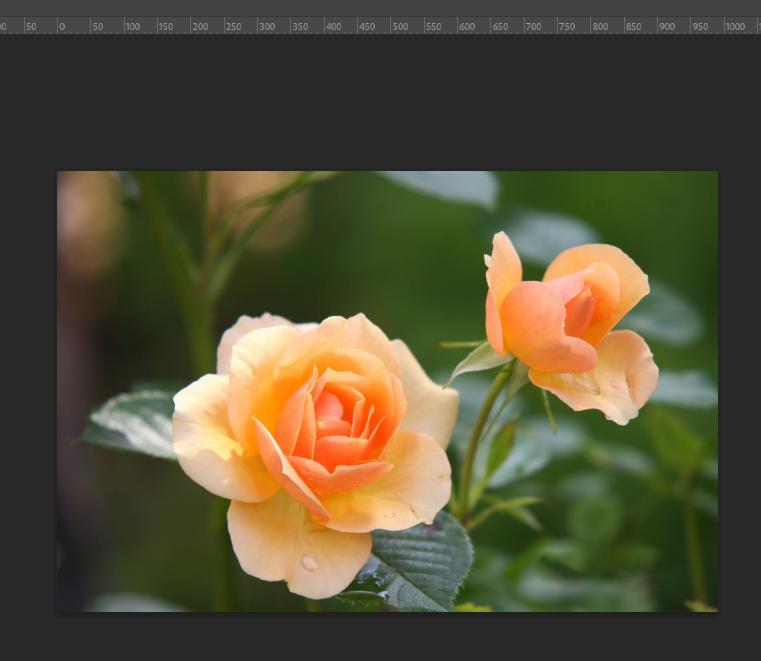 Cách xóa chữ trên ảnh bằng Photoshop: Kết quả sau khi xóa chữ