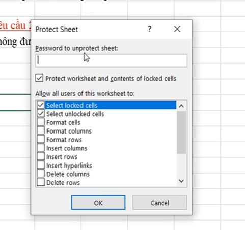 các tùy chọn cụ thể cho việc bảo vệ sheet