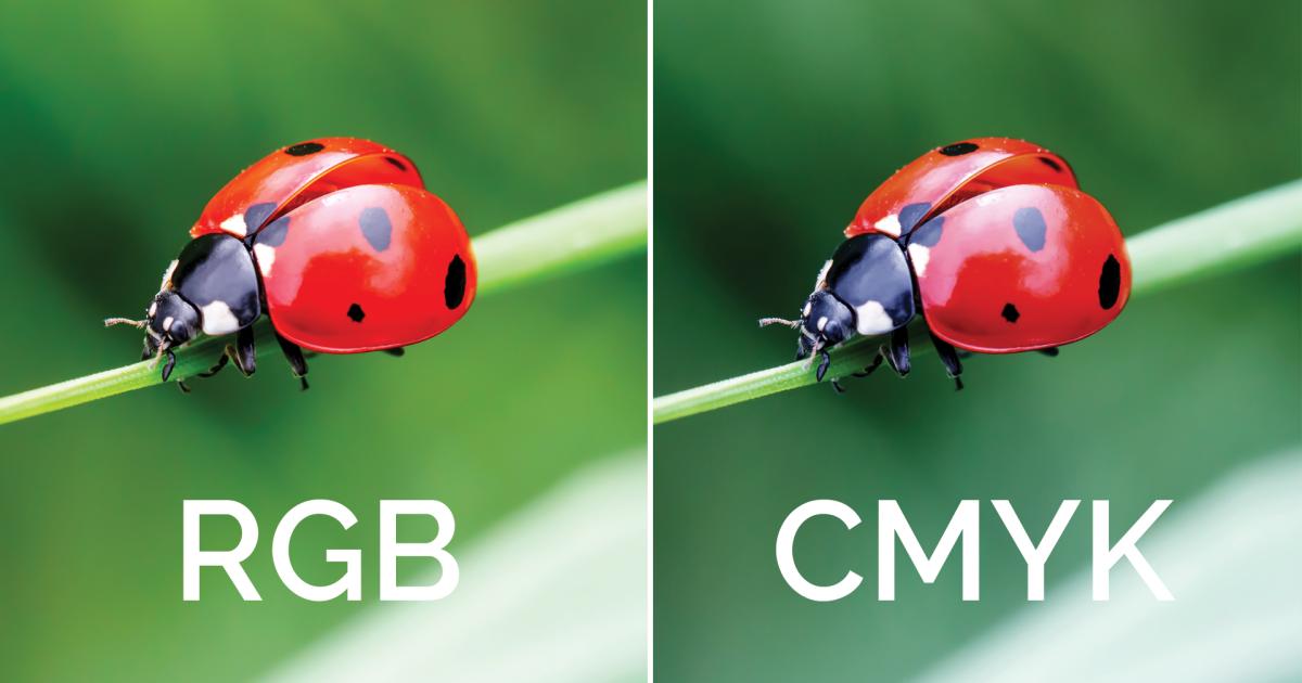 Đổi hệ màu trong Photoshop: Hệ màu RGB so sánh với hệ màu CMYK