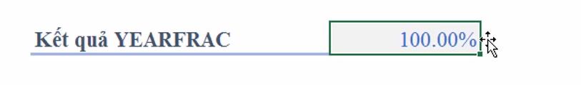 Cách dùng hàm YEAHFRAC xác định % thời gian trong một năm