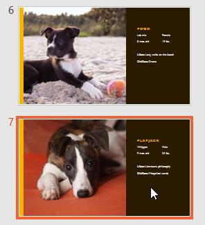 Hướng dẫn cách sử dụng hiệu ứng chuyển tiếp trong PowerPoint