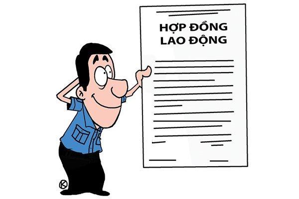 Kiến thức kế toán cần biết về các hình thức hợp đồng lao động