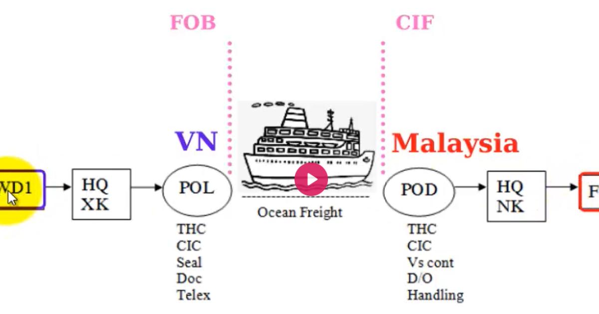 Phân biệt hàng chỉ định và hàng freehand trong xuất nhập khẩu