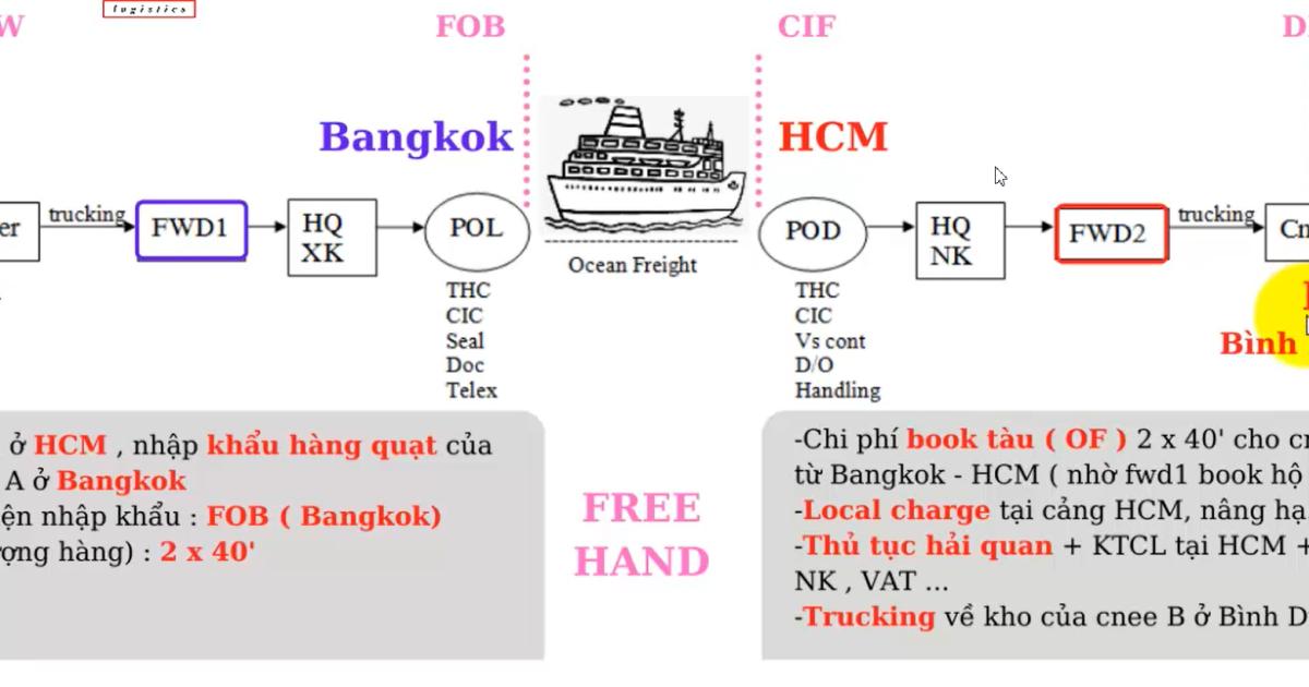 Phân biệt hàng chỉ định và hàng freehand trong xuất nhập khẩu