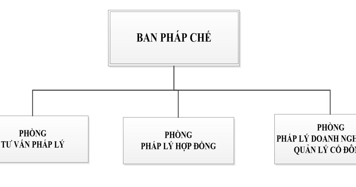 Sơ đồ tổ chức, chức năng nhiệm vụ của Ban Pháp chế trong doanh nghiệp